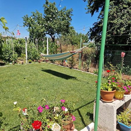 Casa Simona Hotel 2 Mai Bagian luar foto