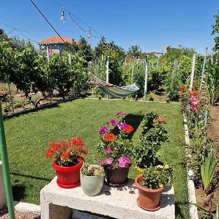 Casa Simona Hotel 2 Mai Bagian luar foto