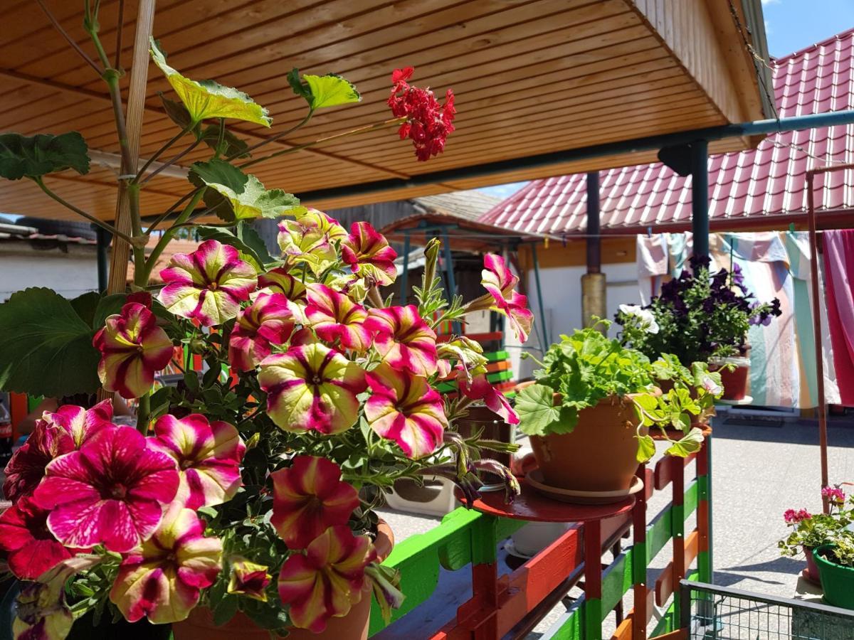 Casa Simona Hotel 2 Mai Bagian luar foto