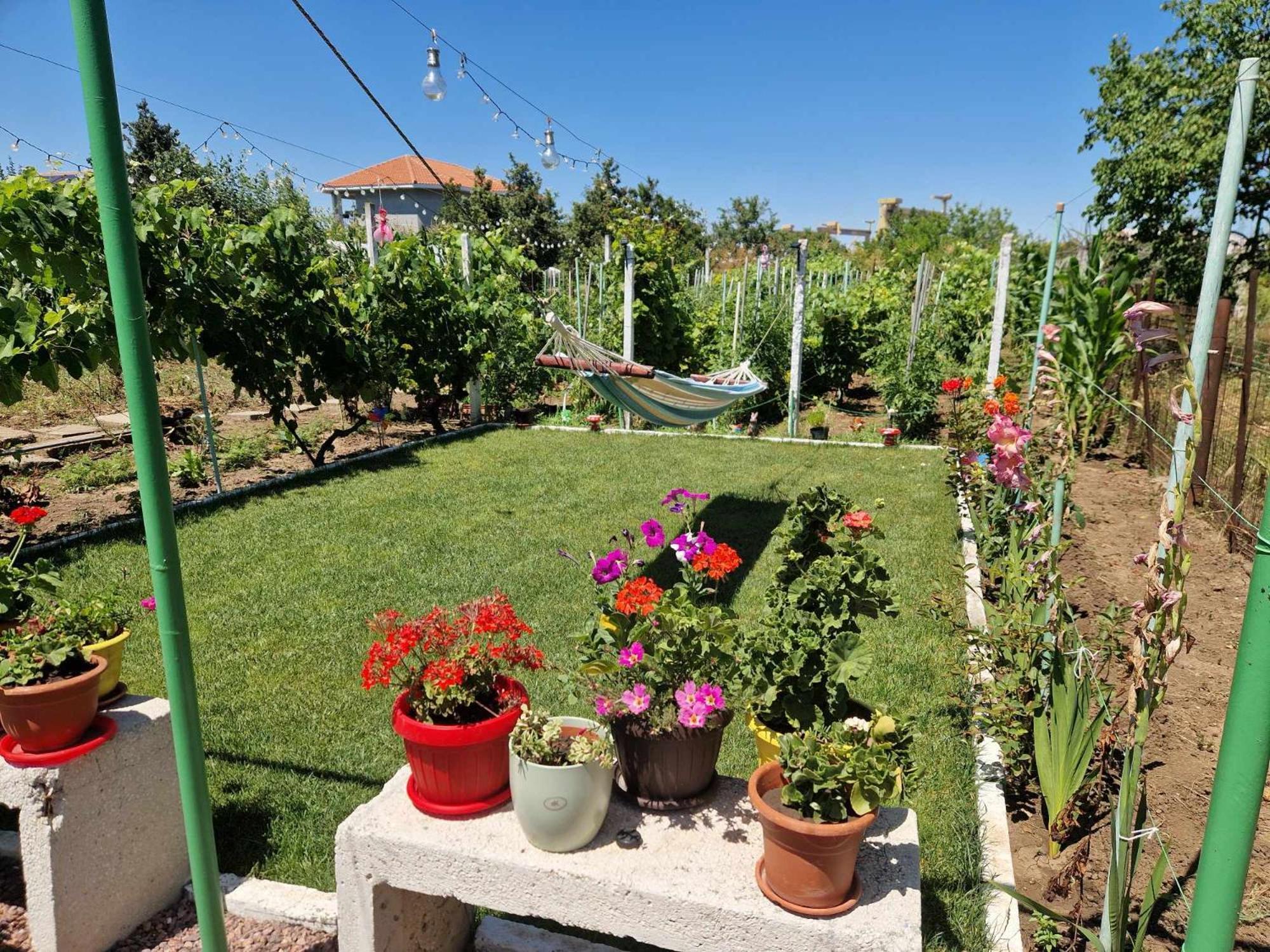 Casa Simona Hotel 2 Mai Bagian luar foto